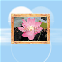 EX-43反射光栅立体画